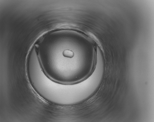 X0000071781384200607150044