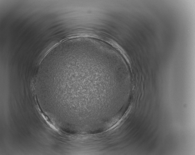 X0000071781385200607150044