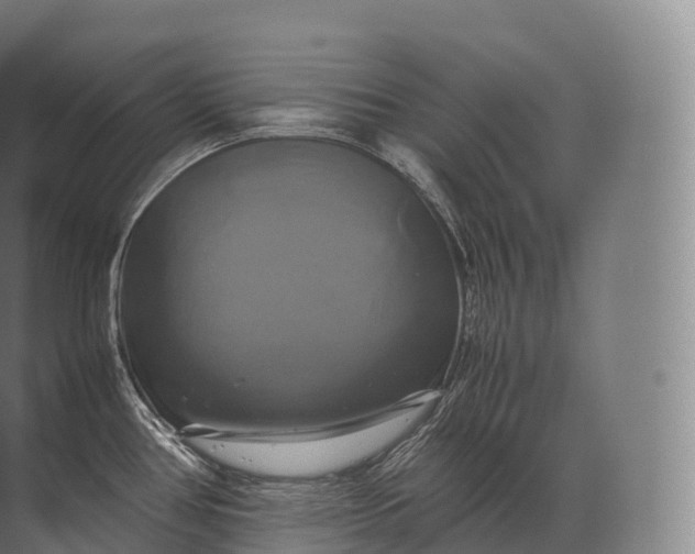 X0000071781386200607150043