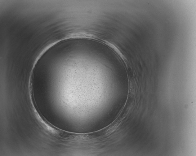 X0000071781387200607150043