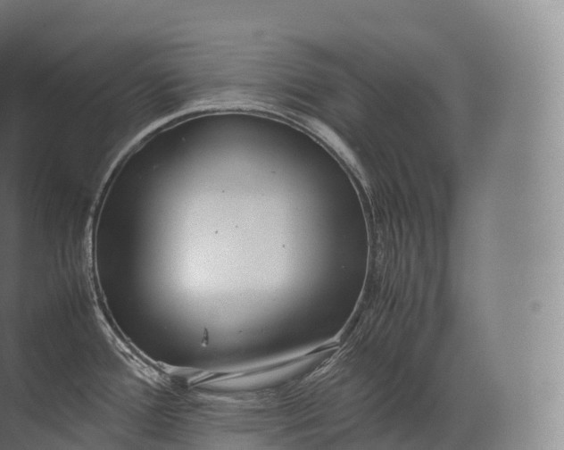 X0000071781388200607150043