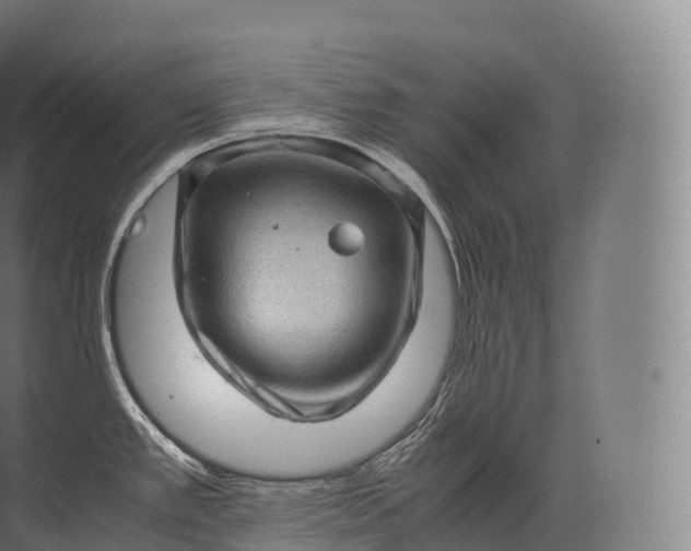 X0000071781389200607150043