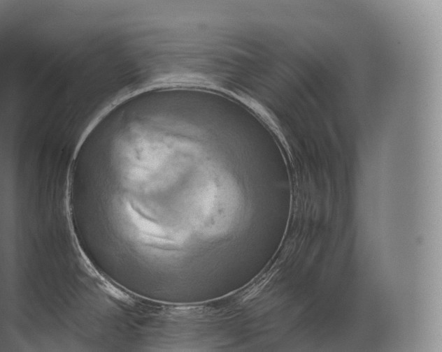 X0000071781390200607150043