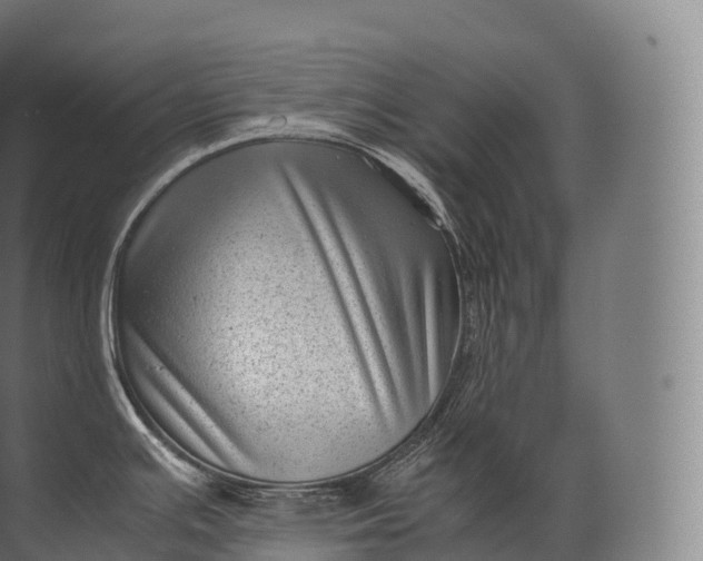 X0000071781391200607150043