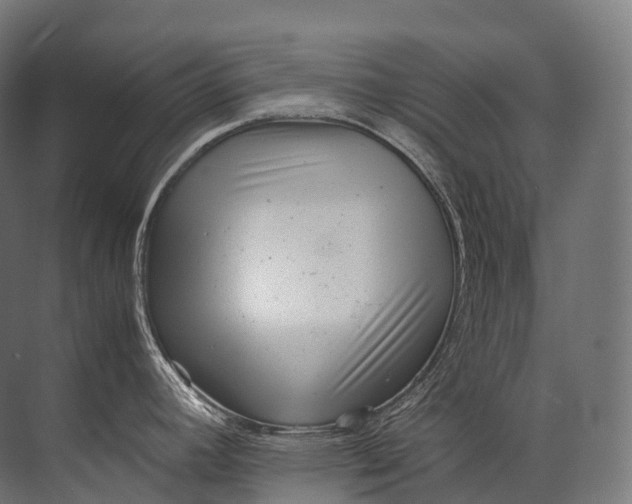 X0000071781392200607150043