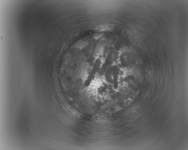 X0000071781393200607150043