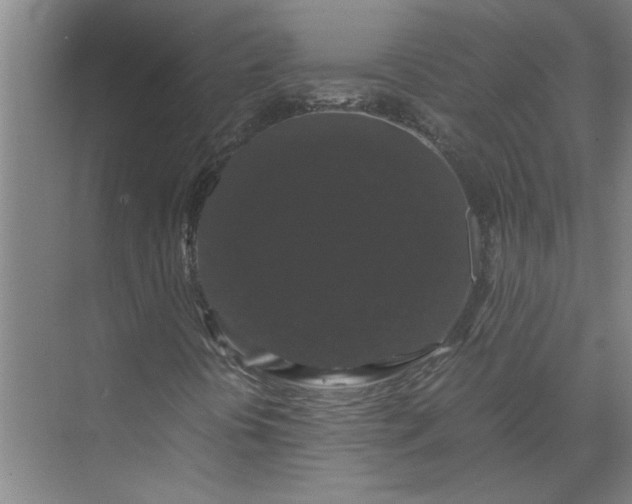 X0000071781394200607150043