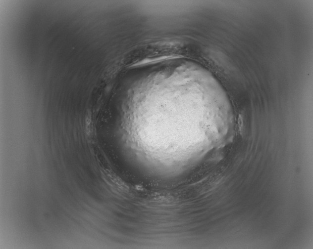 X0000071781395200607150043