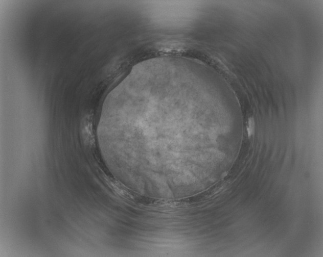 X0000071781396200607150043