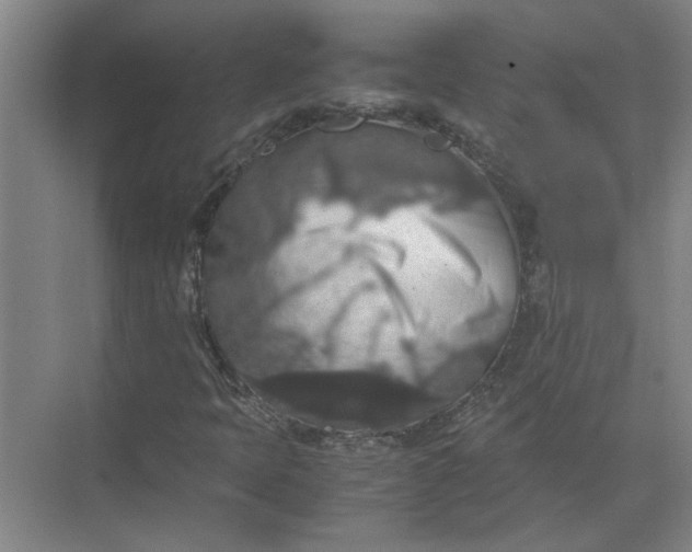 X0000071781397200607150043