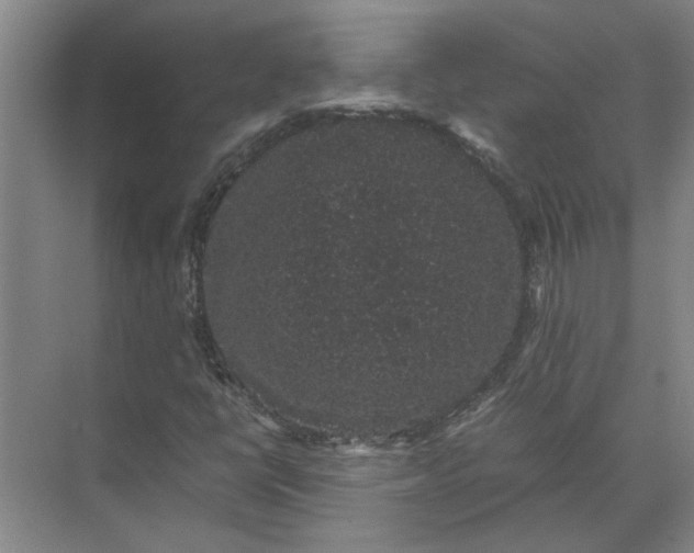 X0000071781398200607150043