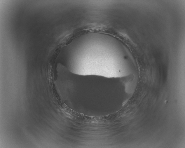 X0000071781399200607150043