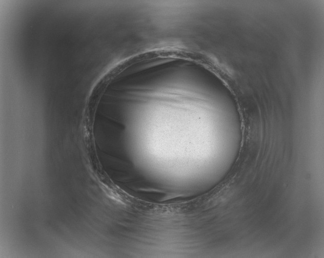 X0000071781400200607150043