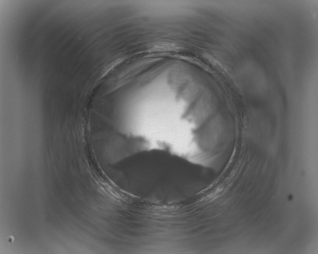 X0000071781401200607150043