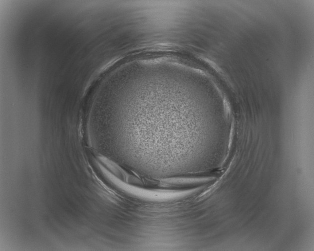 X0000071781402200607150043