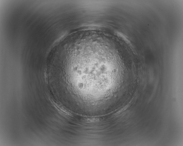 X0000071781403200607150043