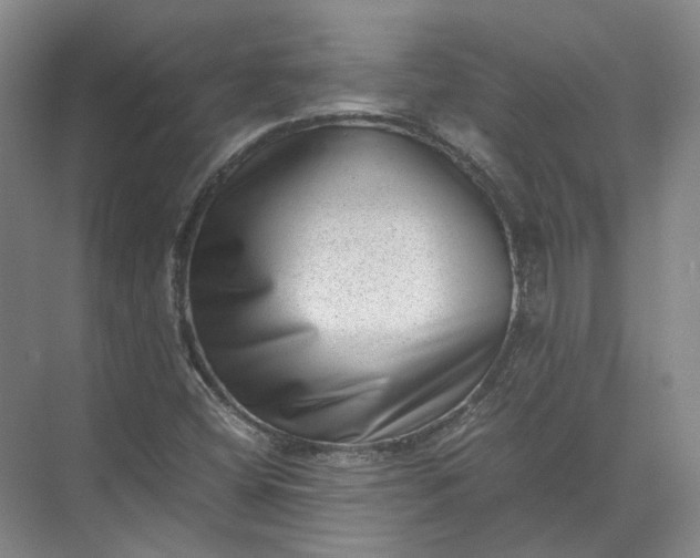 X0000071781404200607150043