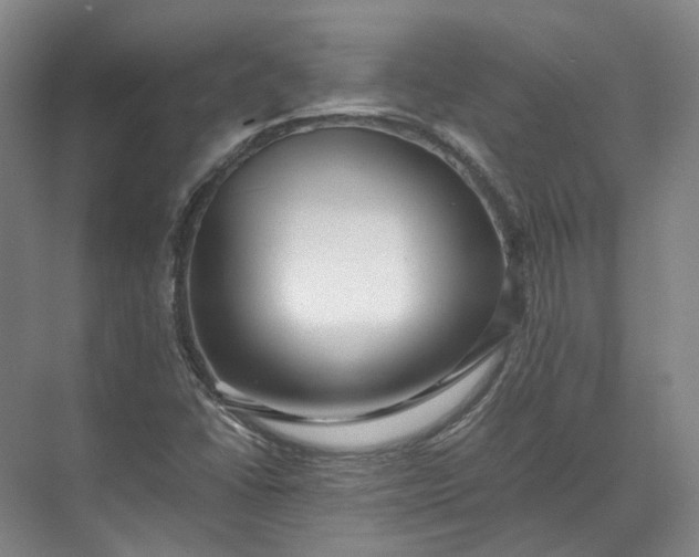 X0000071781406200607150043