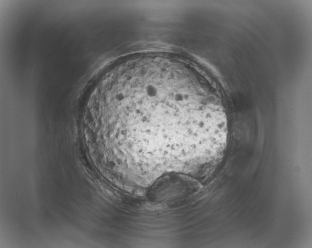 X0000071781407200607150043