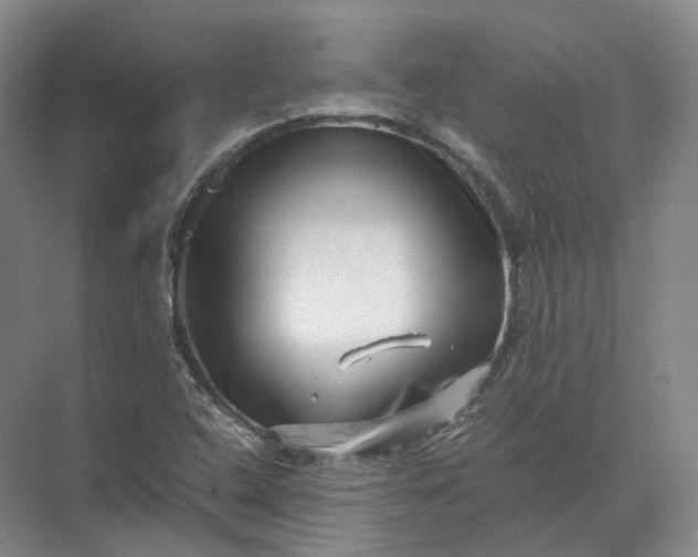 X0000071781408200607150043