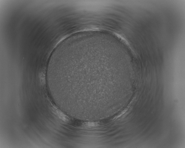 X0000071781409200607150043