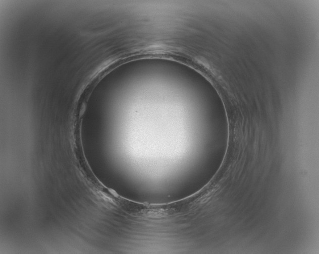 X0000071781410200607150043