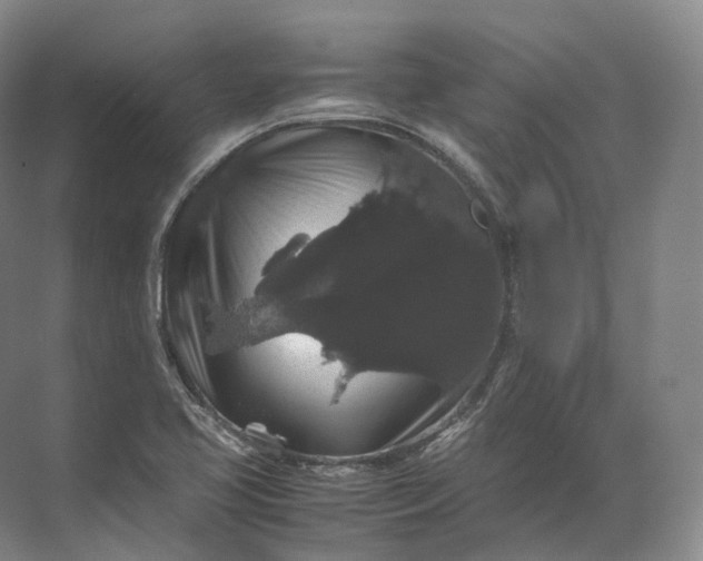 X0000071781413200607150043