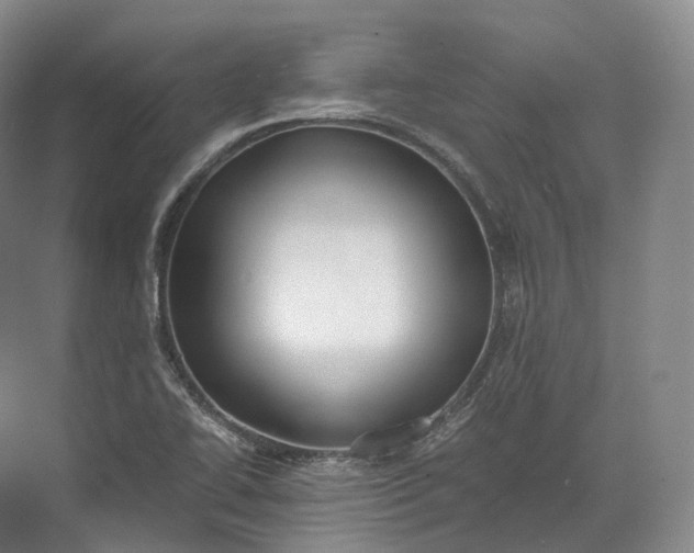 X0000071781414200607150043