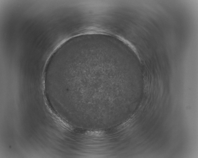 X0000071781415200607150043