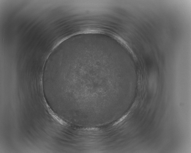 X0000071781417200607150043