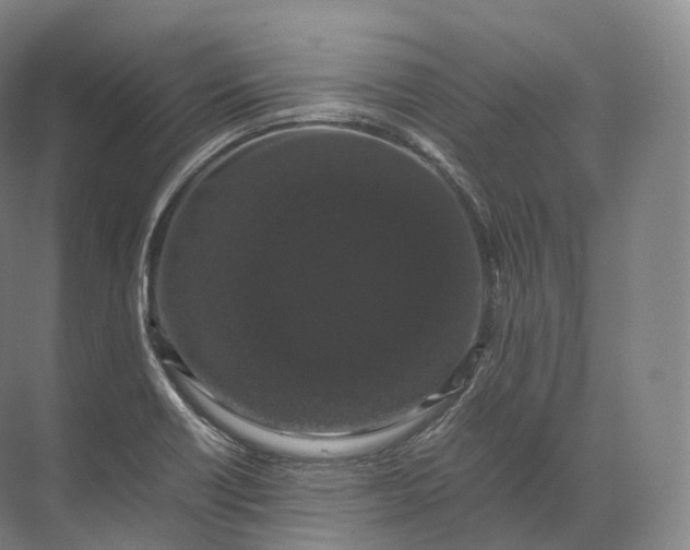 X0000071781418200607150043