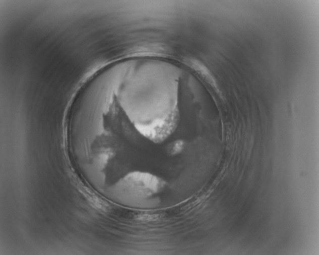 X0000071781419200607150043