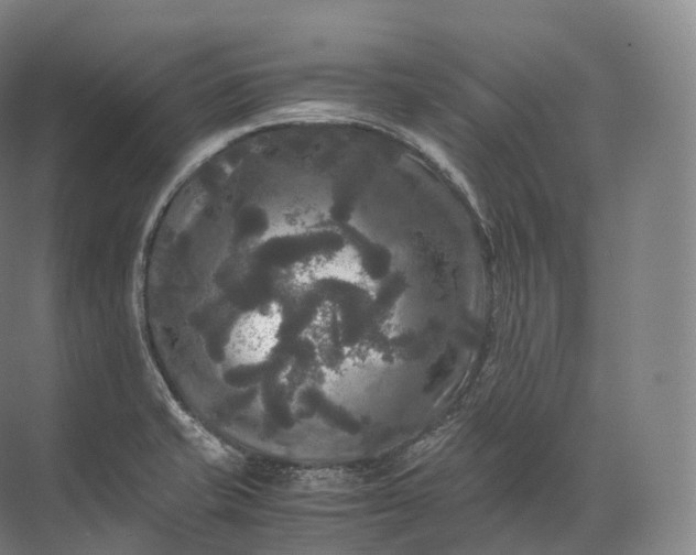 X0000071781421200607150043