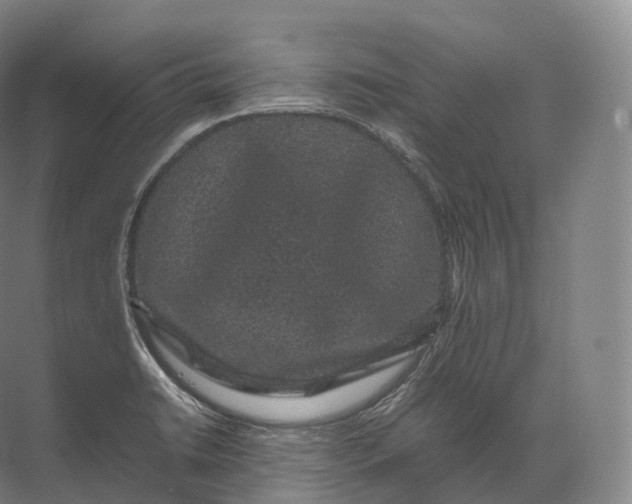 X0000071781422200607150043