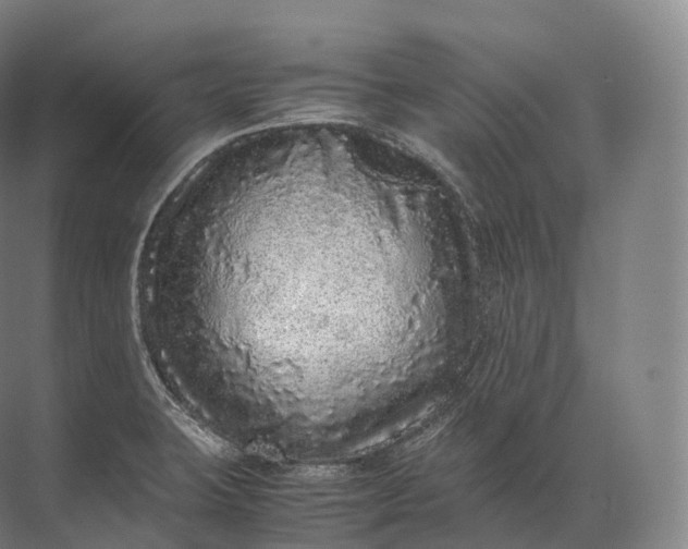 X0000071781423200607150043