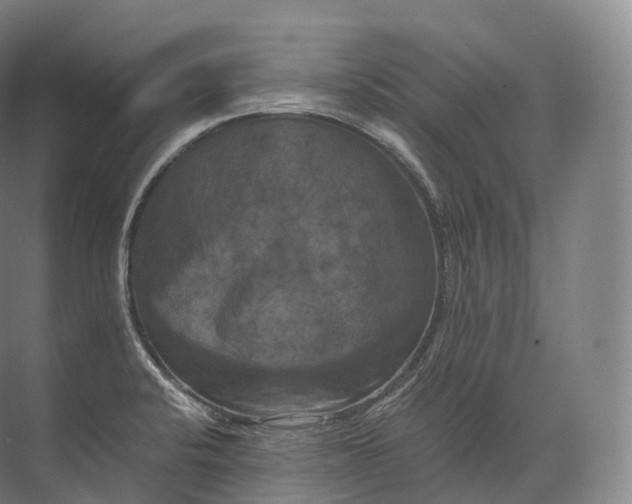 X0000071781424200607150043