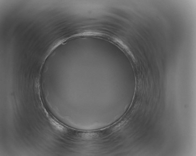 X0000071781425200607150043