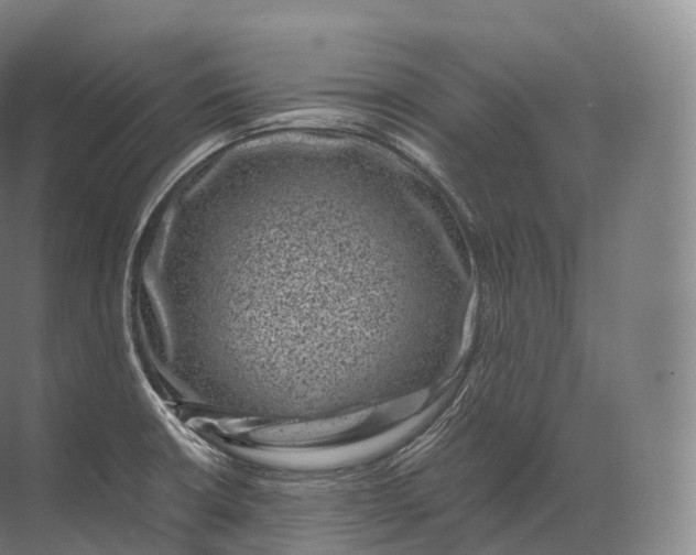 X0000071781426200607150043