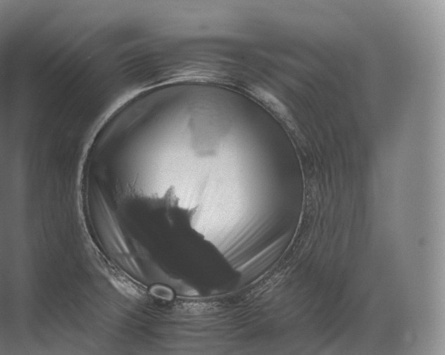 X0000071781427200607150043