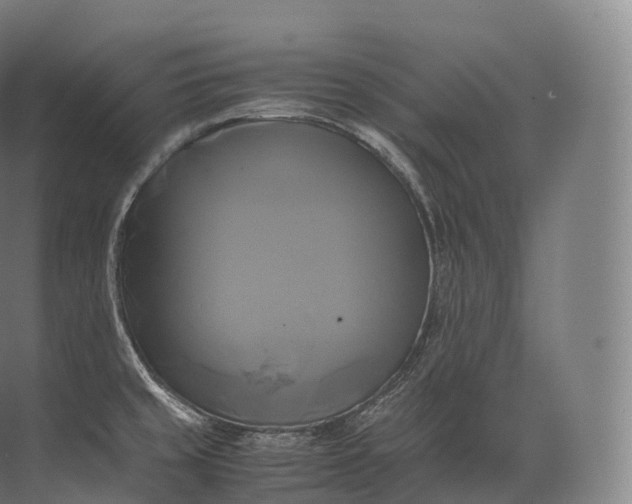 X0000071781429200607150043