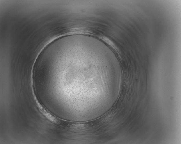 X0000071781431200607150043