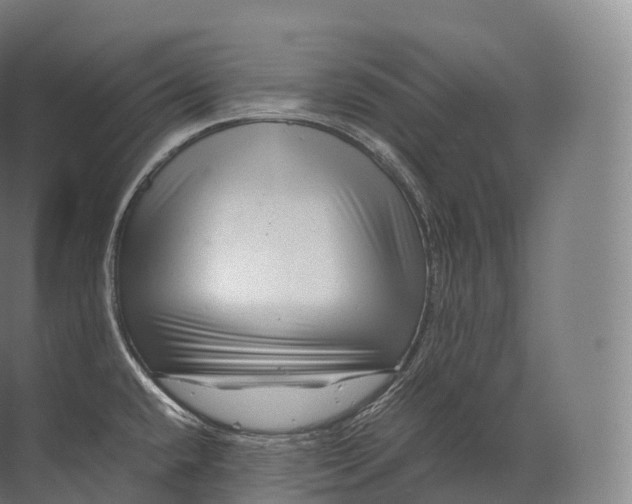 X0000071781432200607150043