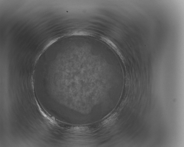 X0000071781433200607150043