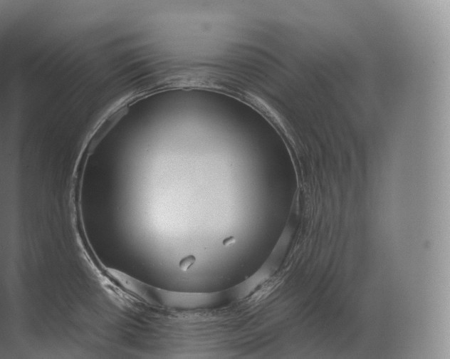 X0000071781434200607150043