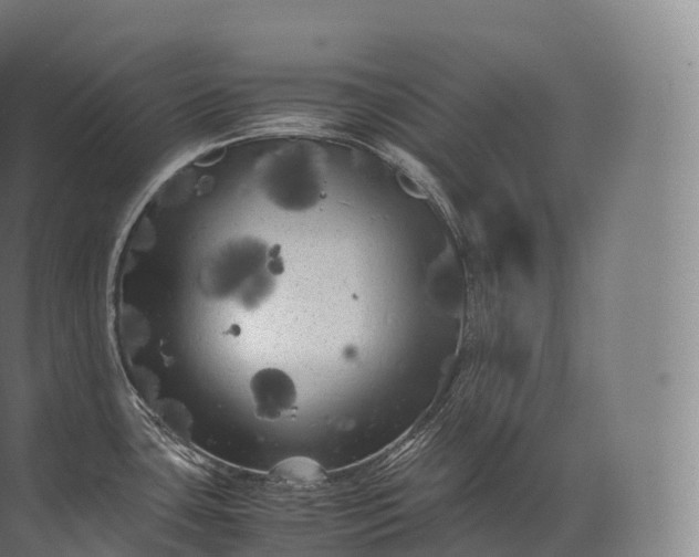 X0000071781435200607150043