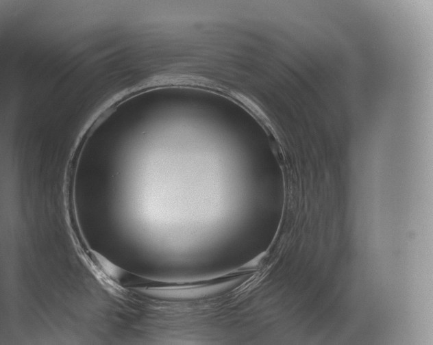 X0000071781438200607150043