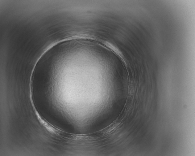 X0000071781439200607150043