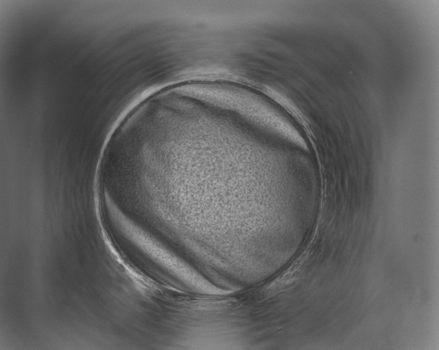 X0000071781440200607150043