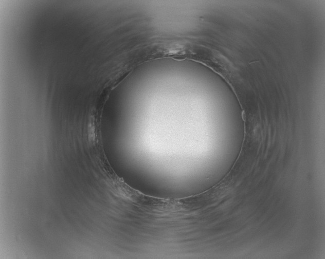 X0000071781442200607150043