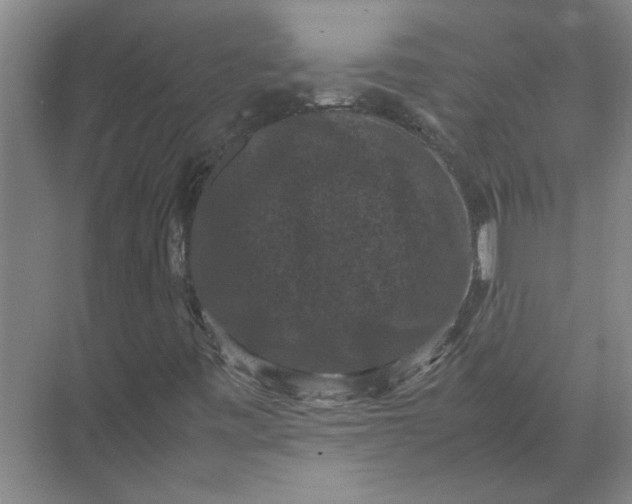 X0000071781443200607150043